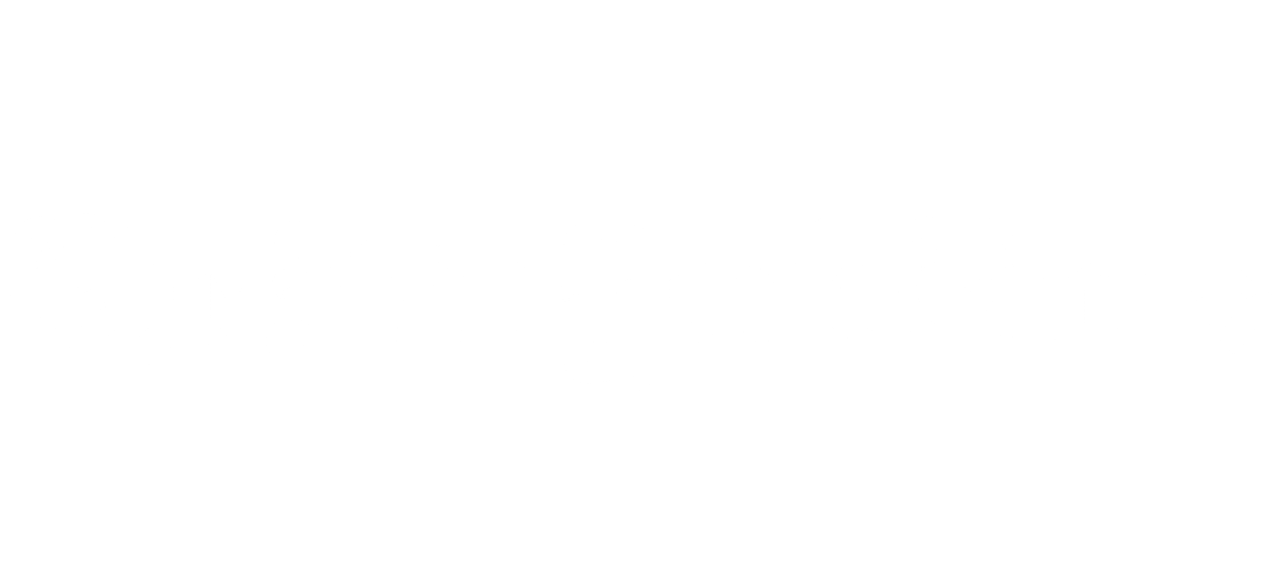 The New York Times Logo