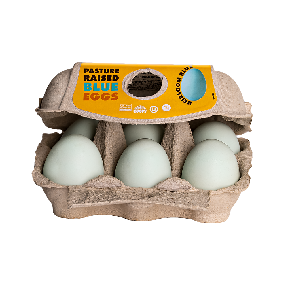 Blue Egg Open Carton