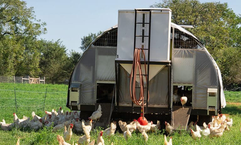 2025 Mobile Coop