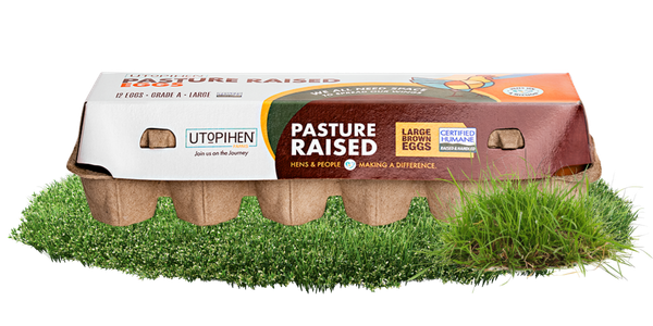 A package of eggs labeled pasteurized on the grass