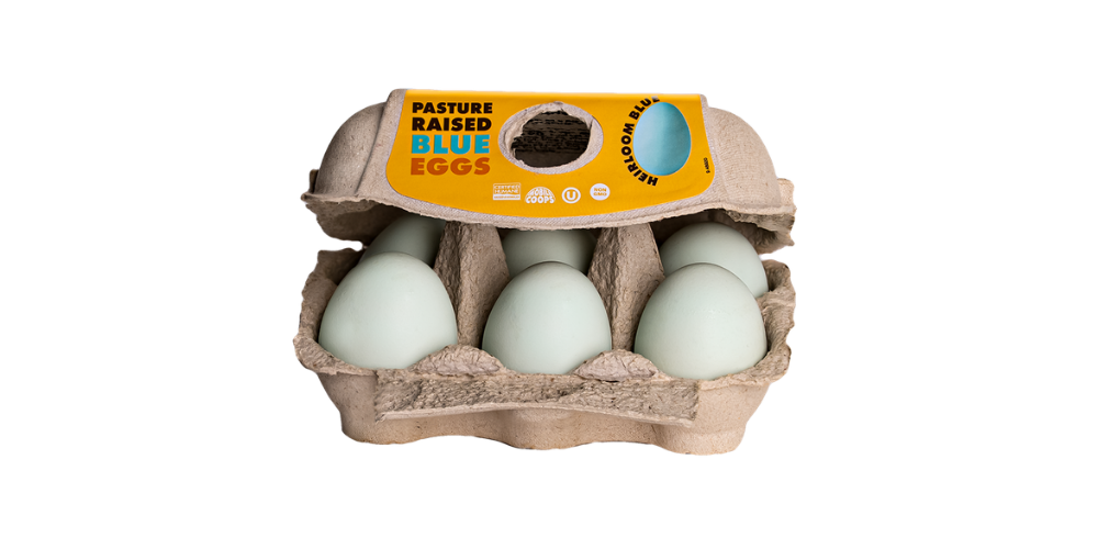 Pasture Raised Blue Eggs_1000x500