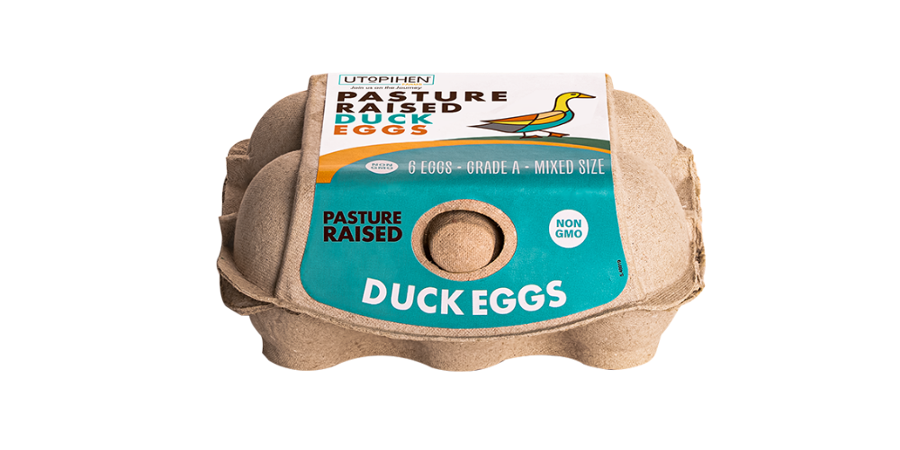 Pastured Raised Duck Eggs_1000x500