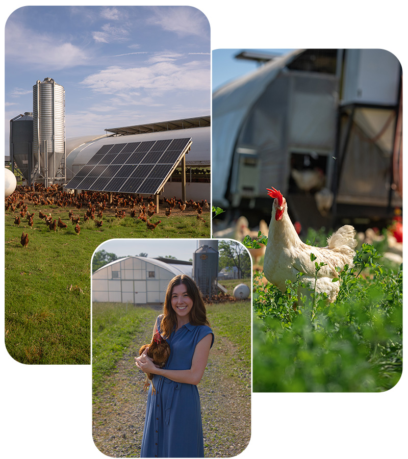 Small Farms Real Farmer Lancaster County
