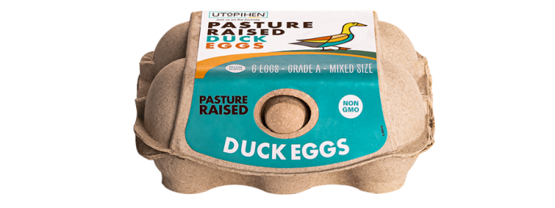 Pastured Raised Duck Eggs_1000x500